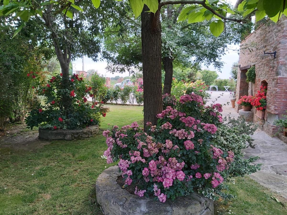 Villa Toscana La Mucchia Cortona Eksteriør bilde