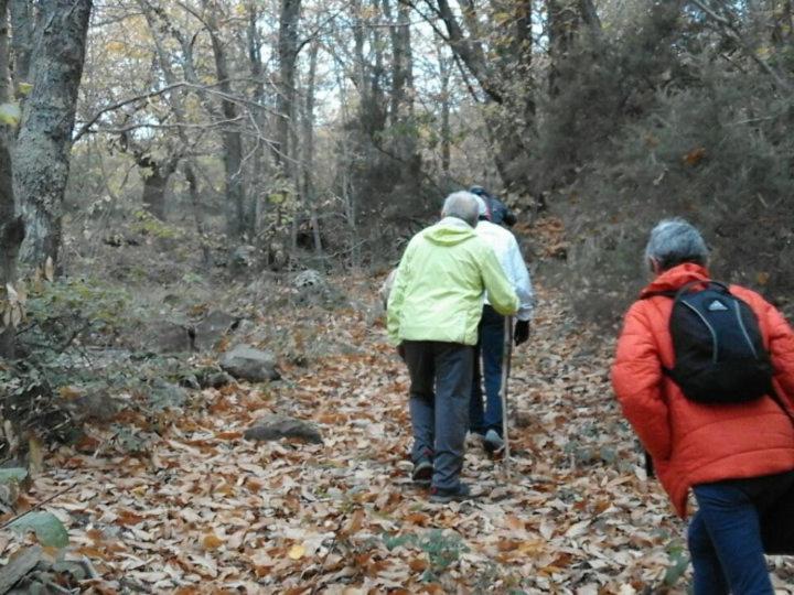 Villa Toscana La Mucchia Cortona Eksteriør bilde