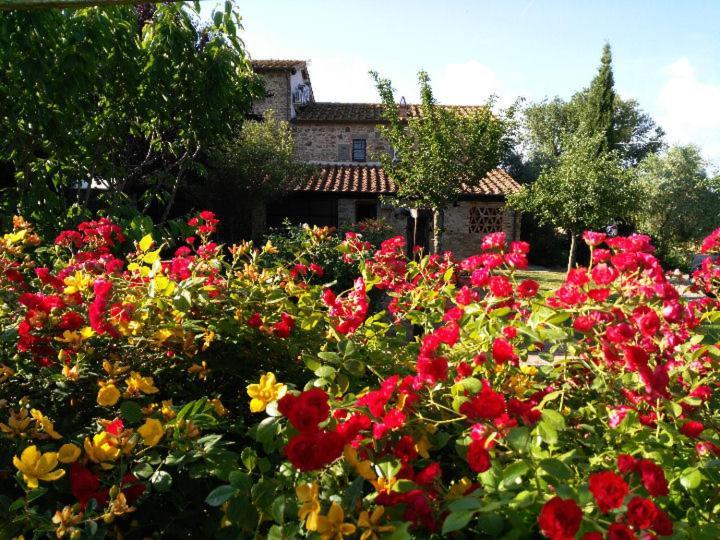 Villa Toscana La Mucchia Cortona Eksteriør bilde