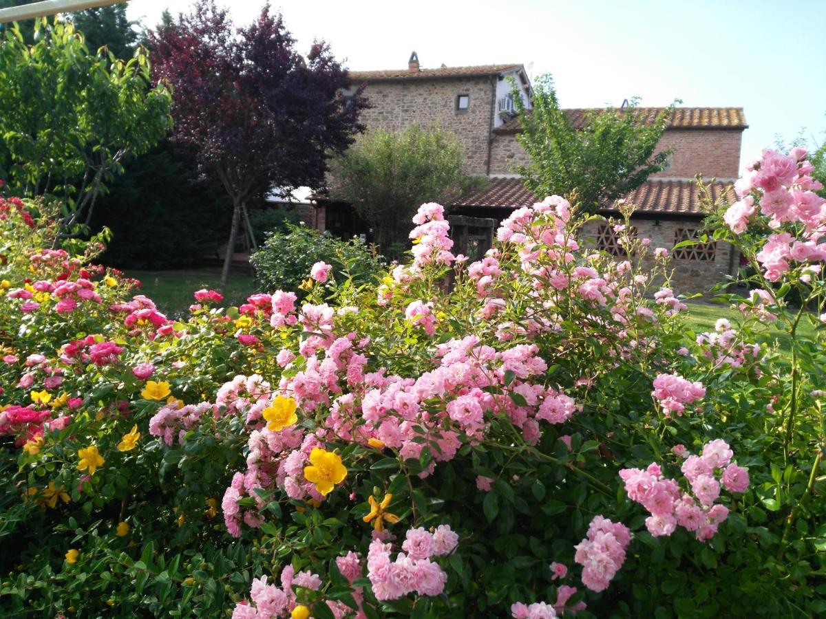 Villa Toscana La Mucchia Cortona Eksteriør bilde