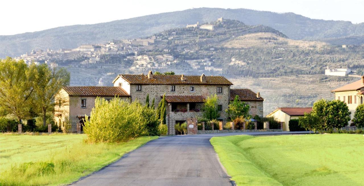 Villa Toscana La Mucchia Cortona Eksteriør bilde