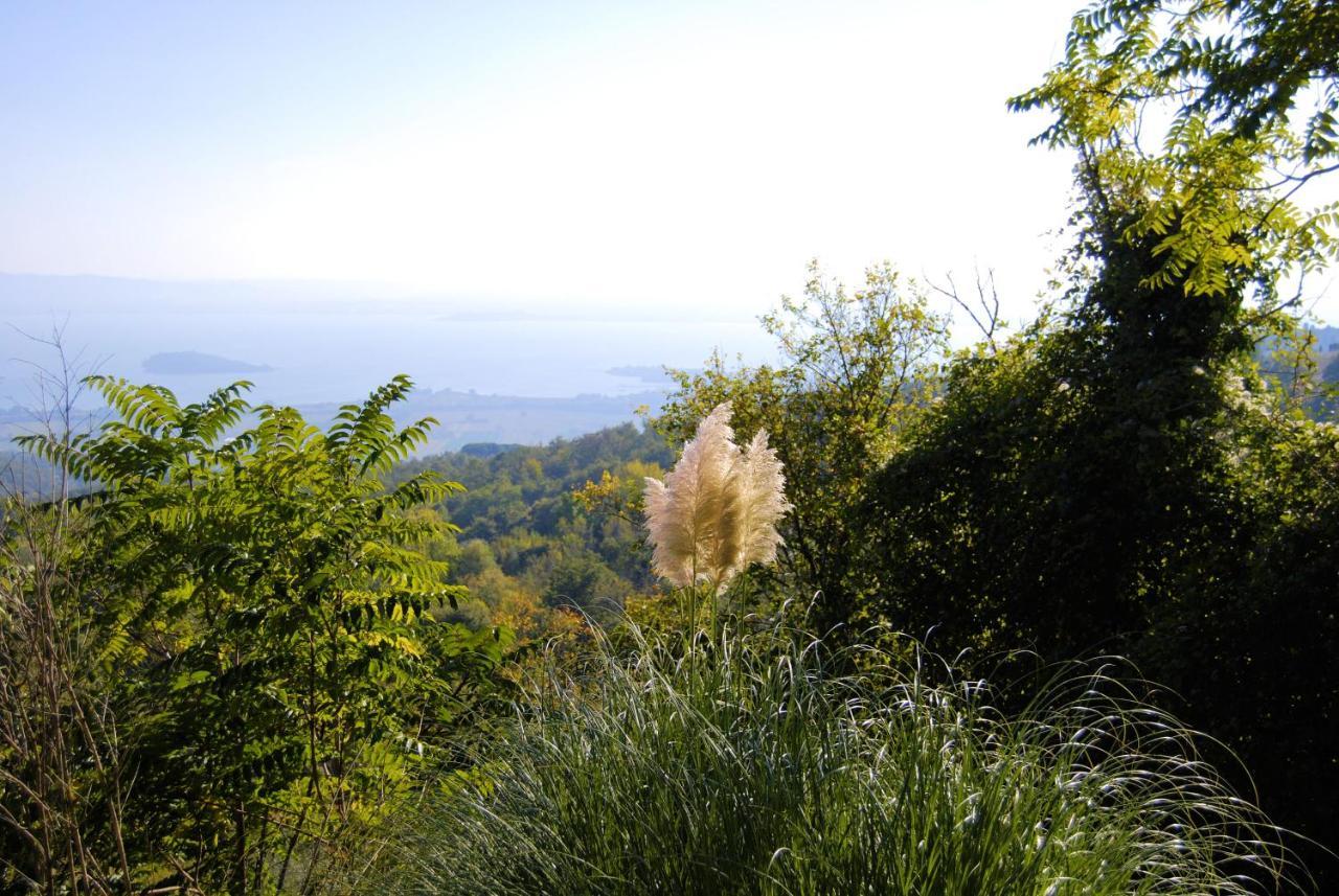 Villa Toscana La Mucchia Cortona Eksteriør bilde