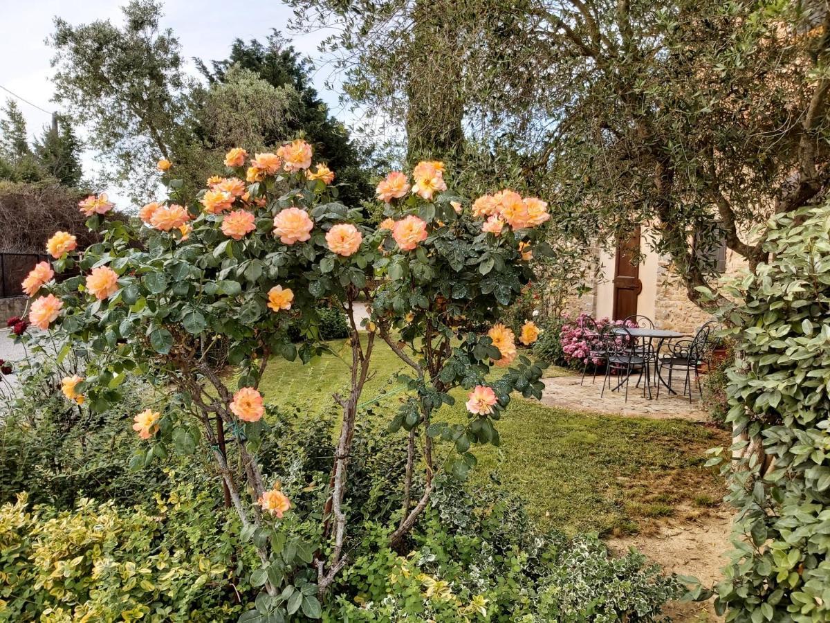 Villa Toscana La Mucchia Cortona Eksteriør bilde