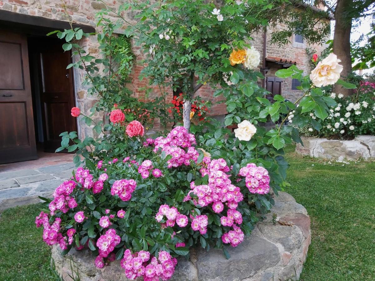 Villa Toscana La Mucchia Cortona Eksteriør bilde